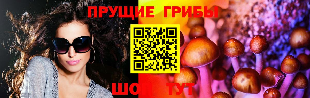 Белореченск  Галлюциногенные грибы Magic Shrooms  Вход с VPN 